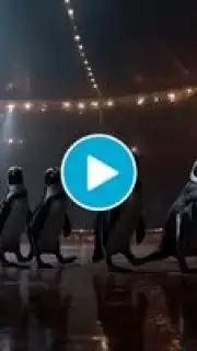 Hailuo AI capture 1