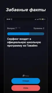 Правда или Ложь capture 22
