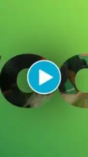 discovery+ (Android TV) capture 1