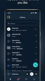 LANDR capture 6