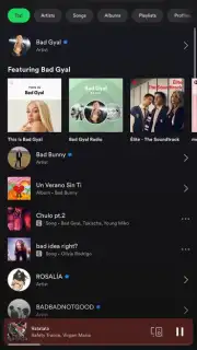 Spotify capture 6