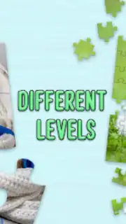 Puzzles without Internet capture 7