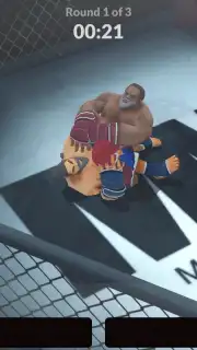 MMA Manager capture 1