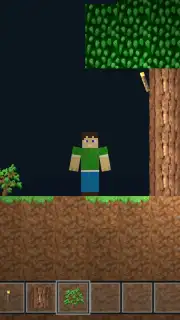 SkyLand capture 7