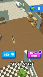 А4 Прятки capture 1