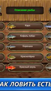 Рыбный дождь capture 1