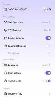 SpeedTop capture 2