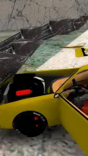 Real Car Crash capture 4