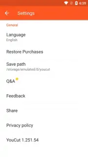YouCut capture 4