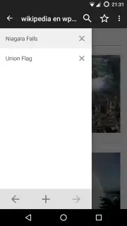 Kiwix offline capture 3