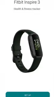 Fitbit capture 13