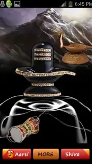 Virtual Shiva Worship capture 1