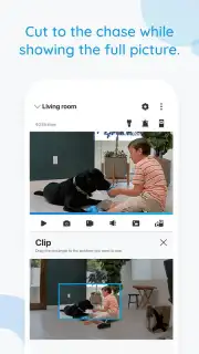 Reolink capture 4