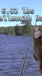 i Fishing 3 Lite capture 2