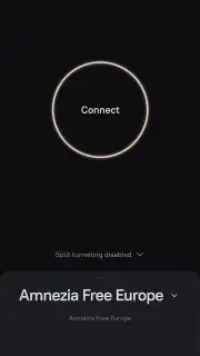 Amnezia VPN capture 1