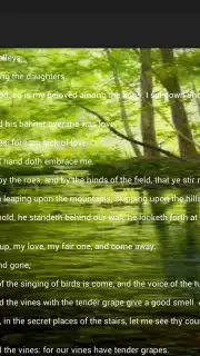 Holy Bible King James Version capture 1