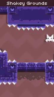 Cat Bird capture 2