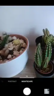 OnePlus Camera (Android 10) capture 2