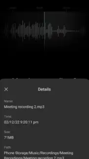 ColorOS Recorder capture 11