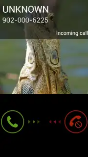 Fake Call 2 capture 6