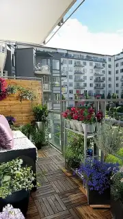 Garden Design Ideas capture 2