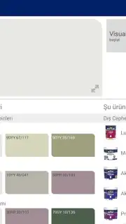 Visualizer capture 13