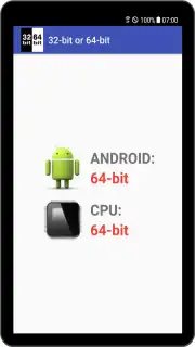 32-bit or 64-bit capture 4