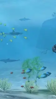 Sharks VR capture 2