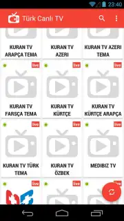 Turkish Live TV capture 3