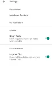 Google Chat capture 3