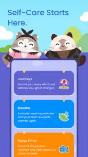 Catzy capture 2