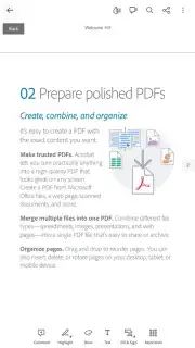 Adobe Acrobat Reader capture 8