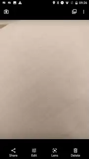 HedgeCam 2 capture 4