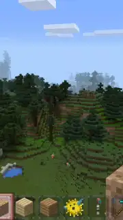 Minicraft capture 3