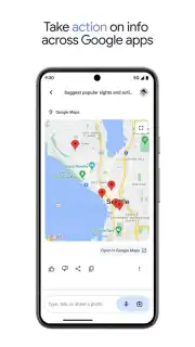 Google Gemini capture 10