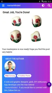 HackerMinded capture 2