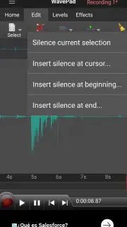 WavePad capture 3