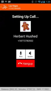 Hushed - Anonymous Calls, SMS capture 3