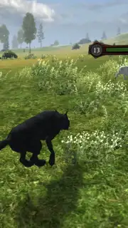 Wild Life: Wolf Clan capture 12
