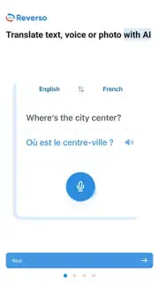 Reverso Translation Dictionary capture 22