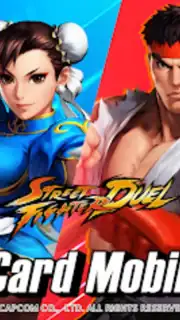Street Fighter: Duel capture 6