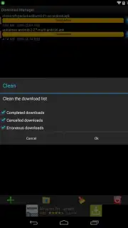 Download Manager capture 1