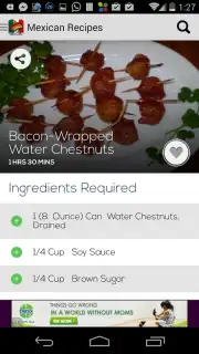 Mexican Recipes capture 1
