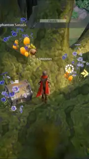 Noah's Heart capture 10