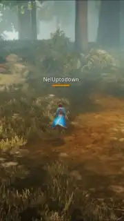 MIR4 (KR) capture 4