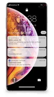 Lock Screen & Notifications iOS 14 capture 8
