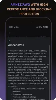 Amnezia VPN capture 4