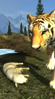 Tiger Simulator capture 4