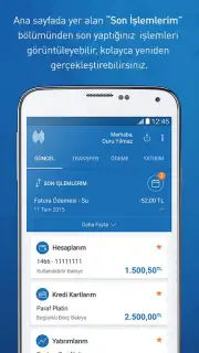 Halkbank capture 6