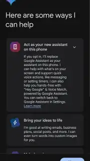 Google Gemini capture 2